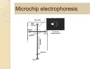 Microchip electrophoresis
 