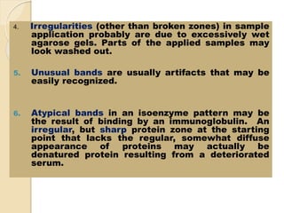 4. Irregularities (other than broken zones) in sample
application probably are due to excessively wet
agarose gels. Parts of the applied samples may
look washed out.
5. Unusual bands are usually artifacts that may be
easily recognized.
6. Atypical bands in an isoenzyme pattern may be
the result of binding by an immunoglobulin. An
irregular, but sharp protein zone at the starting
point that lacks the regular, somewhat diffuse
appearance of proteins may actually be
denatured protein resulting from a deteriorated
serum.
 