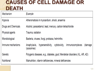CAUSES OF CELL DAMAGE OR
DEATH
120
 