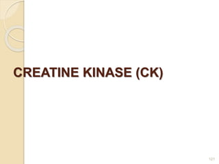 CREATINE KINASE (CK)
121
 