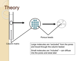 Theory
Column matrix
Porous beads
Large molecules are “excluded” from the pores
and travel through the column fastest
Small molecules are “included” – can diffuse
into the pores and elute later
 