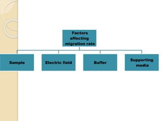 Factors
affecting
migration rate
Sample Electric field Buffer
Supporting
media
 