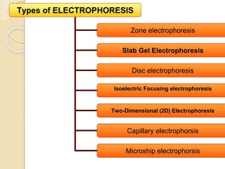 Types of ELECTROPHORESIS
Zone electrophoresis
Slab Gel Electrophoresis
Disc electrophoresis
lsoelectric Focusing electrophoresis
Two-Dimensional (2D) Electrophoresis
Capillary electrophorsis
Microship electrophorsis
 