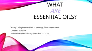 WHAT
ARE
ESSENTIAL OILS?
Young Living Essential Oils - Blessings from Essential Oils
Christina Schuttler
Independent Distributor/ Member #1513752
 