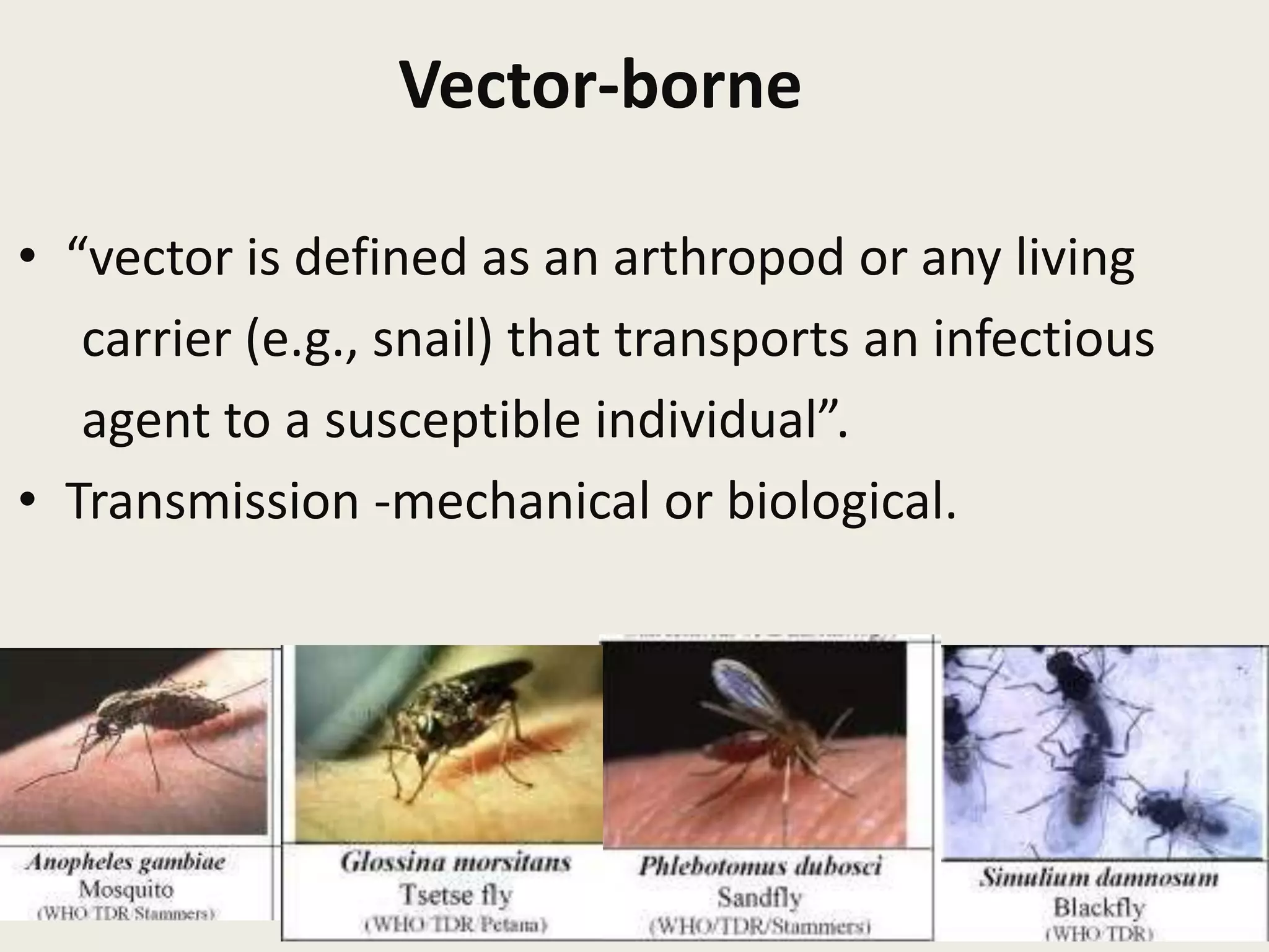 Vector-borne
• “vector is defined as an arthropod or any living
carrier (e.g., snail) that transports an infectious
agent to a susceptible individual”.
• Transmission -mechanical or biological.
30
 
