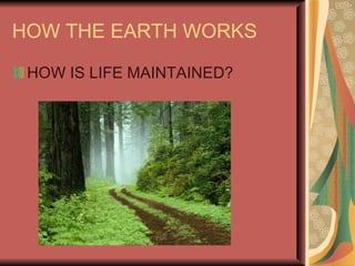 HOW THE EARTH WORKS  HOW IS LIFE MAINTAINED? 