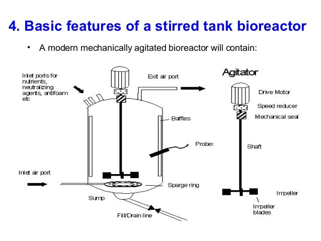 Stirred Tank Bioreactor