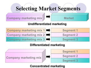 Company marketing mix Market
Undifferentiated marketing
Company marketing mix 1
Company marketing mix 2
Company marketing mix 3
Segment 1
Segment 3
Segment 2
Differentiated marketing
Segment 1
Segment 3
Segment 2
Company marketing mix
Concentrated marketing
Selecting Market Segments
 