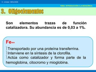 Fe Comprehensive Introduction to Biochemistry and Bioelements in Biology | PDF