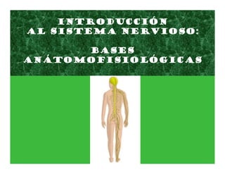 INTRODUCCIÓN
AL SISTEMA NERVIOSO:
BASES
ANÁTOMOFISIOLÓGICAS
 