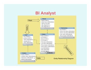Report Writer / Data Analyst’s View
Entity Relationship Diagram
Tables
Keys
Fields
Indexes
BI Analyst
 