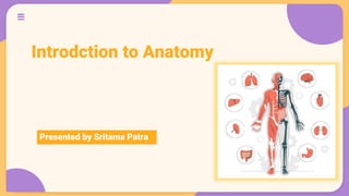 Introdction to Anatomy
Presented by Sritama Patra
 