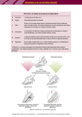 DESARROLLO DE UN ENTORNO SEGURO

192

P.R.I.C.E.D – El cuidado de las lesiones de tejido blando
P

Prevención

“La Prevención es la mejor cura.”

R

Reposo

El área lesionada debe inmovilizarse.

I

Hielo *

El hielo o frío se pueden aplicar directa o indirectamente sobre la piel normalmente
sobre una toalla húmeda. Si se aplica directamente, la fuente de aplicación de frío debe
mantenerse en movimiento, en un ligero movimiento circular.

C

Compresión

La compresión normalmente se realiza envolviendo la zona lesionada con vendas o
cintas esterilizadas, o por medio de presión directa y manual.

E

Elevación

La elevación significa colocar la parte lesionada más alto que el nivel del corazón, como
en el caso de una pierna lesionada sobre un apoyo mientras un atleta está acostado.

D

Diagnóstico

De ser posible, el atleta debe ver a un medico deportivo experto o a un fisioterapeuta
para que le suministre un diagnóstico exacto de la lesión.

* Advertencia – un contacto prolongado de frío directamente sobre la piel puede dañar la piel y producir
congelamiento. Son mejores las aplicaciones de frío cortas y repetidas, de 5-10 minutos, que un solo período
prolongado.

Tratamiento Incorrecto

Tratamiento Correcto

Hora 0
Distención moderada
inmediatamente después de la lesión

24hs sin R.I.C.E

24hs con R.I.C.E

3-6 semanas Sin estiramiento, sin ejercicio
Reparación abultada y dolorosa con
adherencias

3-6 semanas Estiramiento, ejercicios
Reparación resistente e indolora sin
adherencias

Desgarro muscular con y sin tratamiento adecuado
Introducción al Proceso de Entrenamiento - La Guía Oficial IAAF del Proceso de Entrenamiento Atlético

 