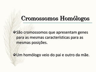 Cromossomos HomólogosCromossomos Homólogos
São cromossomos que apresentam genesSão cromossomos que apresentam genes
para as mesmas características para aspara as mesmas características para as
mesmas posições.mesmas posições.
Um homólogo veio do pai e outro da mãe.Um homólogo veio do pai e outro da mãe.
 