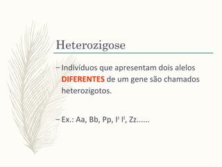 Heterozigose
– Indivíduos que apresentam dois alelos
DIFERENTES de um gene são chamados
heterozigotos.
– Ex.: Aa, Bb, Pp, IA
IB
, Zz......
 