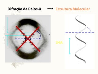 Difração de Raios-X
34A
Estrutura Molecular
 