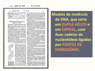 Modelo de molécula
de DNA, que seria
em DUPLA HÉLICE e
em ESPIRAL, com
duas cadeias de
nucleotídeos ligados
por PONTES DE
HIDROGÊNIO.
 