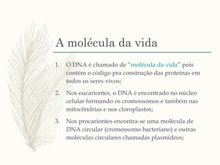 A molécula da vida
1. O DNA é chamado de “molécula da vida” pois
contém o código pra construção das proteínas em
todos os seres vivos;
2. Nos eucariontes, o DNA é encontrado no núcleo
celular formando os cromossomos e também nas
mitocôndrias e nos cloroplastos;
3. Nos procariontes encontra-se uma molécula de
DNA circular (cromossomo bacteriano) e outras
moléculas circulares chamadas plasmídeos;
 