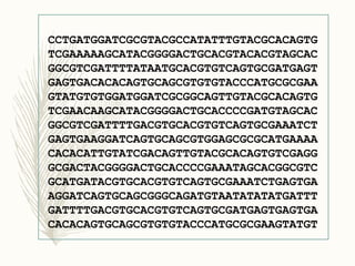 CCTGATGGATCGCGTACGCCATATTTGTACGCACAGTG
TCGAAAAAGCATACGGGGACTGCACGTACACGTAGCAC
GGCGTCGATTTTATAATGCACGTGTCAGTGCGATGAGT
GAGTGACACACAGTGCAGCGTGTGTACCCATGCGCGAA
GTATGTGTGGATGGATCGCGGCAGTTGTACGCACAGTG
TCGAACAAGCATACGGGGACTGCACCCCGATGTAGCAC
GGCGTCGATTTTGACGTGCACGTGTCAGTGCGAAATCT
GAGTGAAGGATCAGTGCAGCGTGGAGCGCGCATGAAAA
CACACATTGTATCGACAGTTGTACGCACAGTGTCGAGG
GCGACTACGGGGACTGCACCCCGAAATAGCACGGCGTC
GCATGATACGTGCACGTGTCAGTGCGAAATCTGAGTGA
AGGATCAGTGCAGCGGGCAGATGTAATATATATGATTT
GATTTTGACGTGCACGTGTCAGTGCGATGAGTGAGTGA
CACACAGTGCAGCGTGTGTACCCATGCGCGAAGTATGT
 
