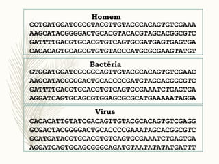 CCTGATGGATCGCGTACGTTGTACGCACAGTGTCGAAA
AAGCATACGGGGACTGCACGTACACGTAGCACGGCGTC
GATTTTGACGTGCACGTGTCAGTGCGATGAGTGAGTGA
CACACAGTGCAGCGTGTGTACCCATGCGCGAAGTATGT
Homem
GTGGATGGATCGCGGCAGTTGTACGCACAGTGTCGAAC
AAGCATACGGGGACTGCACCCCGATGTAGCACGGCGTC
GATTTTGACGTGCACGTGTCAGTGCGAAATCTGAGTGA
AGGATCAGTGCAGCGTGGAGCGCGCATGAAAAATAGGA
Bactéria
CACACATTGTATCGACAGTTGTACGCACAGTGTCGAGG
GCGACTACGGGGACTGCACCCCGAAATAGCACGGCGTC
GCATGATACGTGCACGTGTCAGTGCGAAATCTGAGTGA
AGGATCAGTGCAGCGGGCAGATGTAATATATATGATTT
Vírus
 