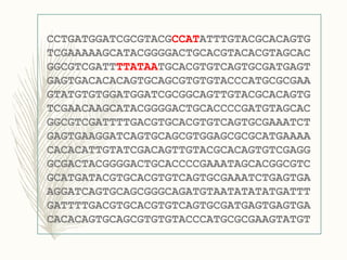 CCTGATGGATCGCGTACGCCATATTTGTACGCACAGTG
TCGAAAAAGCATACGGGGACTGCACGTACACGTAGCAC
GGCGTCGATTTTATAATGCACGTGTCAGTGCGATGAGT
GAGTGACACACAGTGCAGCGTGTGTACCCATGCGCGAA
GTATGTGTGGATGGATCGCGGCAGTTGTACGCACAGTG
TCGAACAAGCATACGGGGACTGCACCCCGATGTAGCAC
GGCGTCGATTTTGACGTGCACGTGTCAGTGCGAAATCT
GAGTGAAGGATCAGTGCAGCGTGGAGCGCGCATGAAAA
CACACATTGTATCGACAGTTGTACGCACAGTGTCGAGG
GCGACTACGGGGACTGCACCCCGAAATAGCACGGCGTC
GCATGATACGTGCACGTGTCAGTGCGAAATCTGAGTGA
AGGATCAGTGCAGCGGGCAGATGTAATATATATGATTT
GATTTTGACGTGCACGTGTCAGTGCGATGAGTGAGTGA
CACACAGTGCAGCGTGTGTACCCATGCGCGAAGTATGT
 