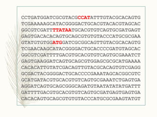 CCTGATGGATCGCGTACGCCATATTTGTACGCACAGTG
TCGAAAAAGCATACGGGGACTGCACGTACACGTAGCAC
GGCGTCGATTTTATAATGCACGTGTCAGTGCGATGAGT
GAGTGACACACAGTGCAGCGTGTGTACCCATGCGCGAA
GTATGTGTGGATGGATCGCGGCAGTTGTACGCACAGTG
TCGAACAAGCATACGGGGACTGCACCCCGATGTAGCAC
GGCGTCGATTTTGACGTGCACGTGTCAGTGCGAAATCT
GAGTGAAGGATCAGTGCAGCGTGGAGCGCGCATGAAAA
CACACATTGTATCGACAGTTGTACGCACAGTGTCGAGG
GCGACTACGGGGACTGCACCCCGAAATAGCACGGCGTC
GCATGATACGTGCACGTGTCAGTGCGAAATCTGAGTGA
AGGATCAGTGCAGCGGGCAGATGTAATATATATGATTT
GATTTTGACGTGCACGTGTCAGTGCGATGAGTGAGTGA
CACACAGTGCAGCGTGTGTACCCATGCGCGAAGTATGT
 