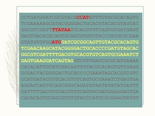 CCTGATGGATCGCGTACGCCATATTTGTACGCACAGTG
TCGAAAAAGCATACGGGGACTGCACGTACACGTAGCAC
GGCGTCGATTTTATAATGCACGTGTCAGTGCGATGAGT
GAGTGACACACAGTGCAGCGTGTGTACCCATGCGCGAA
GTATGTGTGGATGGATCGCGGCAGTTGTACGCACAGTG
TCGAACAAGCATACGGGGACTGCACCCCGATGTAGCAC
GGCGTCGATTTTGACGTGCACGTGTCAGTGCGAAATCT
GAGTGAAGGATCAGTAGGTCGTGGAGCGCGCATGAAAA
CACACATTGTATCGACAGTTGTACGCACAGTGTCGAGG
GCGACTACGGGGACTGCACCCCGAAATAGCACGGCGTC
GCATGATACGTGCACGTGTCAGTGCGAAATCTGAGTGA
AGGATCAGTGCAGCGGGCAGATGTAATATATATGATTT
GATTTTGACGTGCACGTGTCAGTGCGATGAAGGAGTGA
CACACAGTGCAGCGTGTGTACCCATGCGCGAAGTATGT
 