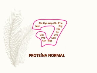 Ala Cys Asp Glu Phe
Met Gly
His
Ile
Gln Lys
Pro Leu
Asn Met
PROTEÍNA NORMALPROTEÍNA NORMAL
 