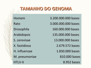 HomemHomem 3.200.000.000 bases3.200.000.000 bases
RatoRato 3.000.000.000 bases3.000.000.000 bases
DrosophilaDrosophila 160.000.000 bases160.000.000 bases
ArabidopsisArabidopsis 135.000.000 bases135.000.000 bases
S. cerevisaeS. cerevisae 13.000.000 bases13.000.000 bases
X. fastidiosaX. fastidiosa 2.679.572 bases2.679.572 bases
H. influenzaeH. influenzae 1.830.000 bases1.830.000 bases
M. pneumoniaeM. pneumoniae 810.000 bases810.000 bases
HTLV-IIHTLV-II 8.952 bases8.952 bases
TAMANHO DO GENOMATAMANHO DO GENOMA
 