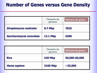 Tamanho do
genoma
Número de genes
 