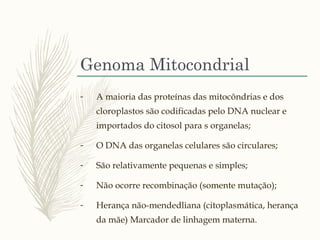 Genoma Mitocondrial
- A maioria das proteínas das mitocôndrias e dos
cloroplastos são codificadas pelo DNA nuclear e
importados do citosol para s organelas;
- O DNA das organelas celulares são circulares;
- São relativamente pequenas e simples;
- Não ocorre recombinação (somente mutação);
- Herança não-mendedliana (citoplasmática, herança
da mãe) Marcador de linhagem materna.
 