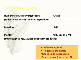 • Análise maternal
• Filogenia Sistemática
•Genética de populações
•Teste forensi (maternal ID)
• Tamanho do mtDNA
Humanos e outrros vertebrados ~16 kb
(todos genes mtDNA codificam produtos)
Leveduras ~80 kb
Plantas ~100 kb to 2 Mb
(muitos genes mtDNA não codificam produtos)
 