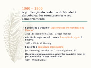 1860 – 1900
A publicação do trabalho de Mendel à
descoberta dos cromossomos e seu
comportamento
– É publicado o trabalho "Experimentos em Hibridação de
Plantas”.
1865 (distribuído em 1866) - Gregor Mendel
– A fusão do esperma e do ovo e a formação do zigoto é
descrita
1879 a 1885 - O. Hertwig
– É descrito o corpúsculo cromossomo
(W. Flemming) notados por C. com Nägeli em 1842
– Os corpúsculos (cromossomos) dentro do núcleo eram os
portadores dos fatores hereditários
1883 - Wilhelm Roux
 