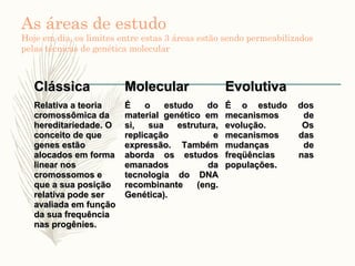 As áreas de estudo
Hoje em dia, os limites entre estas 3 áreas estão sendo permeabilizados
pelas técnicas de genética molecular
ClássicaClássica MolecularMolecular EvolutivaEvolutiva
Relativa a teoriaRelativa a teoria
cromossômica dacromossômica da
hereditariedade. Ohereditariedade. O
conceito de queconceito de que
genes estãogenes estão
alocados em formaalocados em forma
linear noslinear nos
cromossomos ecromossomos e
que a sua posiçãoque a sua posição
relativa pode serrelativa pode ser
avaliada em funçãoavaliada em função
da sua frequênciada sua frequência
nas progênies.nas progênies.
É o estudo doÉ o estudo do
material genético emmaterial genético em
si, sua estrutura,si, sua estrutura,
replicação ereplicação e
expressão. Tambémexpressão. Também
aborda os estudosaborda os estudos
emanados daemanados da
tecnologia do DNAtecnologia do DNA
recombinante (eng.recombinante (eng.
Genética).Genética).
É o estudo dosÉ o estudo dos
mecanismos demecanismos de
evolução. Osevolução. Os
mecanismos dasmecanismos das
mudanças demudanças de
freqüências nasfreqüências nas
populações.populações.
 