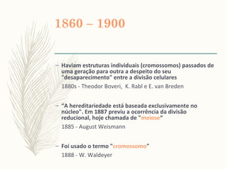 1860 – 1900
– Haviam estruturas individuais (cromossomos) passados de
uma geração para outra a despeito do seu
"desaparecimento" entre a divisão celulares
1880s - Theodor Boveri, K. Rabl e E. van Breden
– “A hereditariedade está baseada exclusivamente no
núcleo". Em 1887 previu a ocorrência da divisão
reducional, hoje chamada de "meiose“
1885 - August Weismann
– Foi usado o termo "cromossomo"
1888 - W. Waldeyer
 