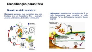 Introd Helmintologia doenças ciclo de vida | PDF
