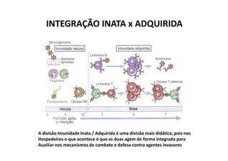 INTEGRAÇÃO INATA x ADQUIRIDA

A divisão Imunidade Inata / Adquirida é uma divisão mais didática, pois nos
Hospedeiros o que acontece é que as duas agem de forma integrada para
Auxiliar nos mecanismos de combate e defesa contra agentes invasores

 