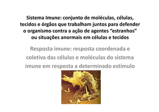 Sistema Imune: conjunto de moléculas, células,
tecidos e órgãos que trabalham juntos para defender
o organismo contra a ação de agentes “estranhos”
ou situações anormais em células e tecidos

Resposta imune: resposta coordenada e
coletiva das células e moléculas do sistema
imune em resposta a determinado estímulo

 