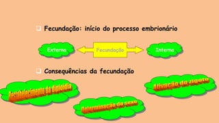 ❑ Fecundação: início do processo embrionário
❑ Consequências da fecundação
Fecundação
Externa Interna
 