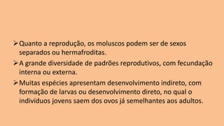 ➢Quanto a reprodução, os moluscos podem ser de sexos
separados ou hermafroditas.
➢A grande diversidade de padrões reprodutivos, com fecundação
interna ou externa.
➢Muitas espécies apresentam desenvolvimento indireto, com
formação de larvas ou desenvolvimento direto, no qual o
indivíduos jovens saem dos ovos já semelhantes aos adultos.
 