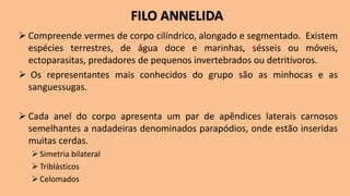 ➢ Compreende vermes de corpo cilíndrico, alongado e segmentado. Existem
espécies terrestres, de água doce e marinhas, sésseis ou móveis,
ectoparasitas, predadores de pequenos invertebrados ou detritívoros.
➢ Os representantes mais conhecidos do grupo são as minhocas e as
sanguessugas.
➢ Cada anel do corpo apresenta um par de apêndices laterais carnosos
semelhantes a nadadeiras denominados parapódios, onde estão inseridas
muitas cerdas.
➢Simetria bilateral
➢Triblásticos
➢Celomados
FILO ANNELIDA
 