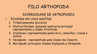 DIVERSIDADE DE ARTROPODES
• Divididos em cinco subfilos:
1. Trilobitomorpha (extinto)
2. Cheliceriformes: possuem queliceras principal
representante a classe Arachnida
3. Crustacea: representados pelos siris, camarões, cracas e
outros
4. Hexapoda: representado pela classe dos Insecta
5. Myriapoda: principais classes Diplopoda e Chilopoda.
FILO ARTHOPODA
 