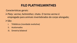 FILO PLATYHELMINTHES
Características gerais:
➢Platy: verme; helminthes: chato. O termo verme é
empregado para animais invertebrados do corpo alongado;
➢São:
i. Tribláticos (novidade evolutiva)
ii. Acelomados
iii. Simetria bilateral
 