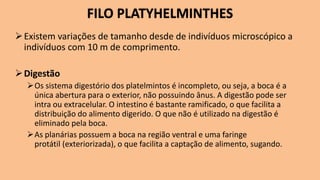FILO PLATYHELMINTHES
➢Existem variações de tamanho desde de indivíduos microscópico a
indivíduos com 10 m de comprimento.
➢Digestão
➢Os sistema digestório dos platelmintos é incompleto, ou seja, a boca é a
única abertura para o exterior, não possuindo ânus. A digestão pode ser
intra ou extracelular. O intestino é bastante ramificado, o que facilita a
distribuição do alimento digerido. O que não é utilizado na digestão é
eliminado pela boca.
➢As planárias possuem a boca na região ventral e uma faringe
protátil (exteriorizada), o que facilita a captação de alimento, sugando.
 