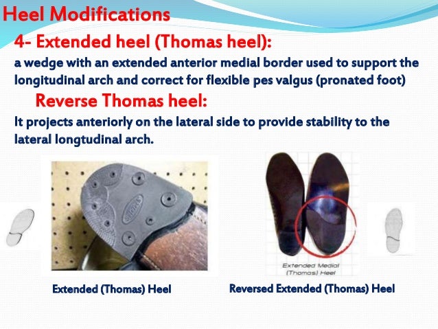 Introd &ll orthosis dr.aliaa