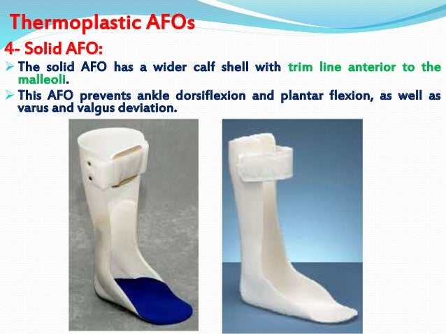 Introd Amp Ll Orthosis Dr Aliaa