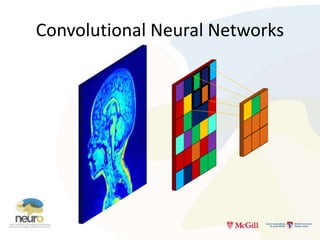 Introduction to Deep Learning for Neuroimaging | PPTX