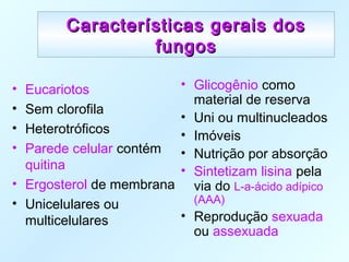 Características gerais dosCaracterísticas gerais dos
fungosfungos
• Eucariotos
• Sem clorofila
• Heterotróficos
• Parede celular contém
quitina
• Ergosterol de membrana
• Unicelulares ou
multicelulares
• Glicogênio como
material de reserva
• Uni ou multinucleados
• Imóveis
• Nutrição por absorção
• Sintetizam lisina pela
via do L-a-ácido adípico
(AAA)
• Reprodução sexuada
ou assexuada
 
