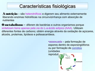 Características fisiológicasCaracterísticas fisiológicas
O metabolismo – diferem de bactérias e outros organismos porque
sintetizam lisina apenas pela via do L-a-ácido adípico (AAA). Utilizam
diferentes fontes de carbono; obtém energia através da oxidação de açúcares,
alcoóis, proteínas, lipídeos e polissacarídeos.
A nutrição – são heterotróficos e digerem seu alimento externamente
liberando enzimas hidrolíticas na circunvizinhança com absorção de
nutrientes
•assexuada – pela formação de
esporos dentro de esporangióforos
ou por formação de conídios
(unidades
reprodutivas assexuadas).
 