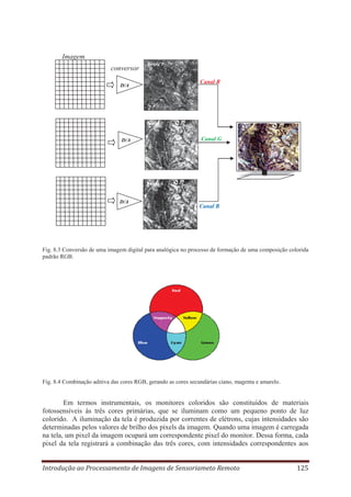 Imagem
conversor

Banda 1

Canal R

D/A

Banda 5

Canal G

D/A

Banda 6

D/A

Canal B

Fig. 8.3 Conversão de uma imagem digital para analógica no processo de formação de uma composição colorida
padrão RGB.

Fig. 8.4 Combinação aditiva das cores RGB, gerando as cores secundárias ciano, magenta e amarelo.

Em termos instrumentais, os monitores coloridos são constituídos de materiais
fotossensíveis às três cores primárias, que se iluminam como um pequeno ponto de luz
colorido. A iluminação da tela é produzida por correntes de elétrons, cujas intensidades são
determinadas pelos valores de brilho dos pixels da imagem. Quando uma imagem é carregada
na tela, um pixel da imagem ocupará um correspondente pixel do monitor. Dessa forma, cada
pixel da tela registrará a combinação das três cores, com intensidades correspondentes aos
Introdução ao Processamento de Imagens de Sensoriameto Remoto

125

 